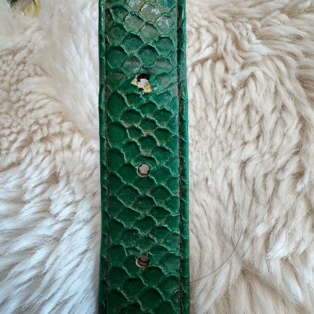 FriendshipCollar LE Snake Skin-like Emerald Green Leather Dog Collar set - Picture 4 of 8